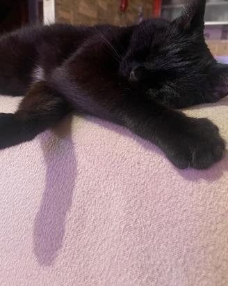Luna ?