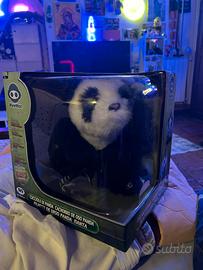 Panda WowWee GIG