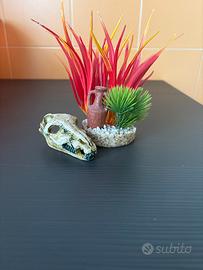 Accessori acquario