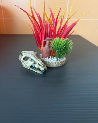 Accessori acquario