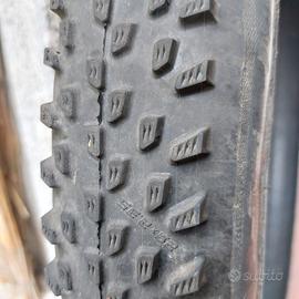 Copertone Schwalbe Racing ray 29