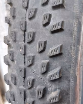 Copertone Schwalbe Racing ray 29