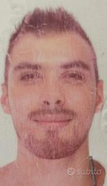 Acquisti, logistica, trasporti