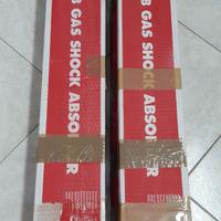 Ammortizzatori posteriori FORD