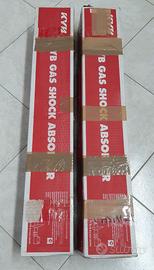 Ammortizzatori posteriori FORD