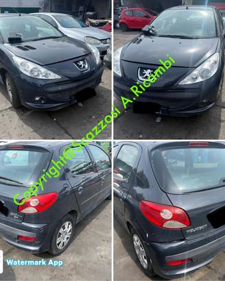 Ricambi usati Peugeot 206 Plus anno 2010 P