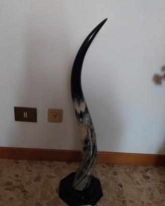corno ornamentale 