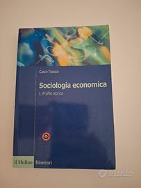 sociologia economica 