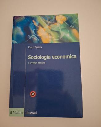 sociologia economica 