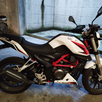 Benelli bn 251