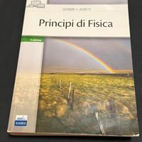 Principi di fisica IV edizione