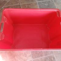 6 cassette per ortofrutta nuove.