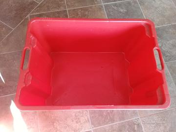 6 cassette per ortofrutta nuove.