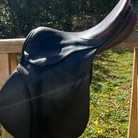 Sella stubben 16”