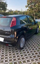 fiat punto 1.3 mjt 75 cv 5 porte