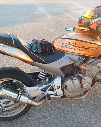 stefano honda hornet