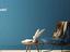 Immagine 27