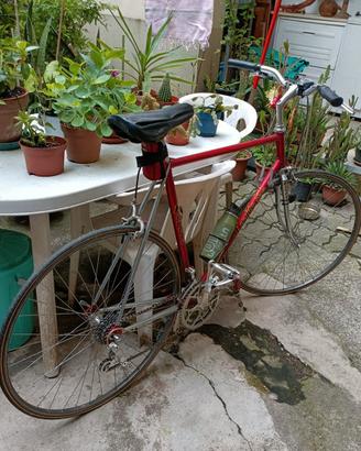 bici Liotto