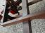 Immagine 11