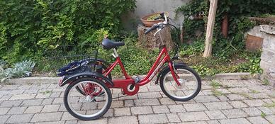 Triciclo Elettrico