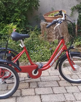 Triciclo Elettrico