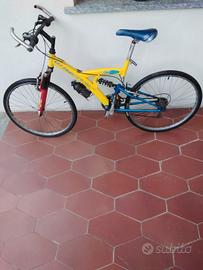 diverse bici 