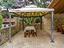Immagine 26