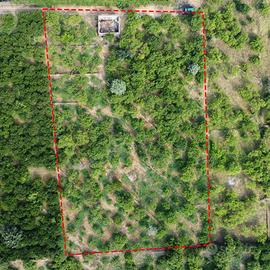 Agrumeto a due passi dal mare - Riposto (CT), Prai