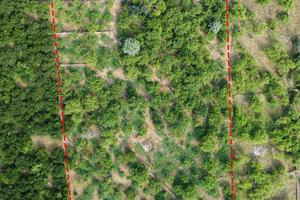 Agrumeto a due passi dal mare - Riposto (CT), Prai