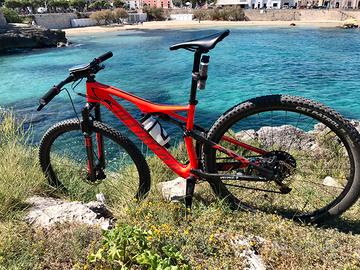 Vengo Mtb Specialized