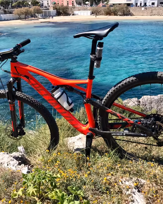 Vengo Mtb Specialized