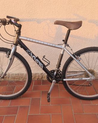 bicicletta mountain bike