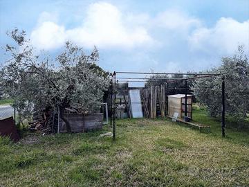Terreno Agricolo Grosseto [Cod. rif 3288519VCG]
