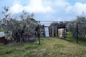 Terreno Agricolo Grosseto [Cod. rif 3288519VCG]