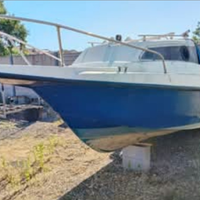 Tonnetto Mercury 40 elpt efi