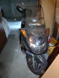 majesti 250