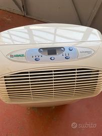 Climatizzatore Ariagel Eco 75