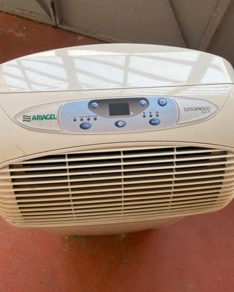 Climatizzatore Ariagel Eco 75