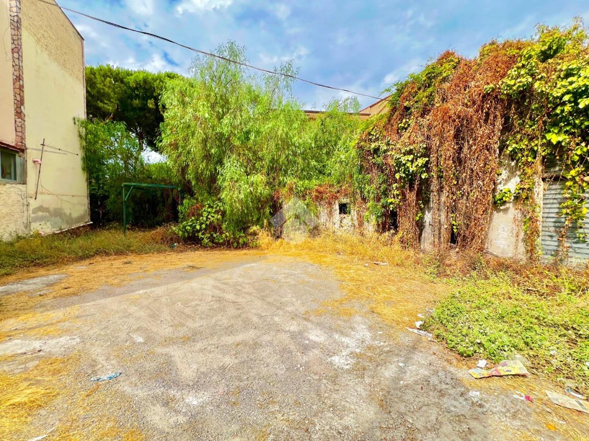 TER. AGRICOLO A PALERMO - Vista 3