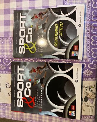 Sport& co