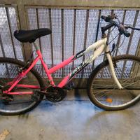 Mountain Bike donna Frejus