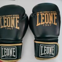2 guantoni boxe 