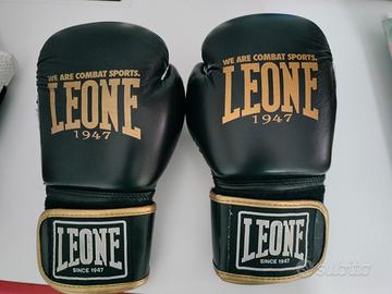 2 guantoni boxe 