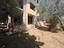 Immagine 11