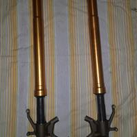 Forcelle Kawasaki ZX6R 636