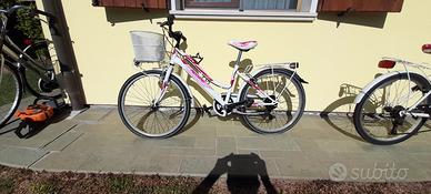 bicicletta 