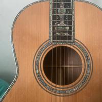 Chitarra Acustica Elettrificata