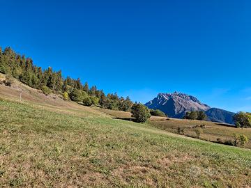 Terreno agricolo a Allein