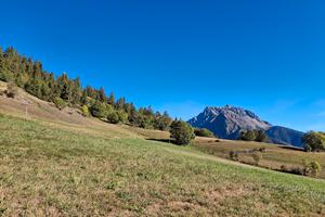 Terreno agricolo a Allein