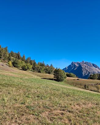 Terreno agricolo a Allein